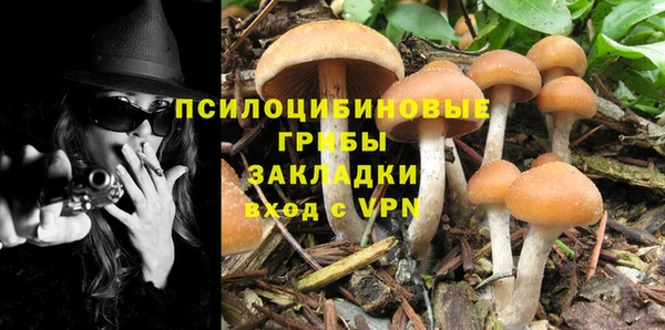 прущая мука Абдулино